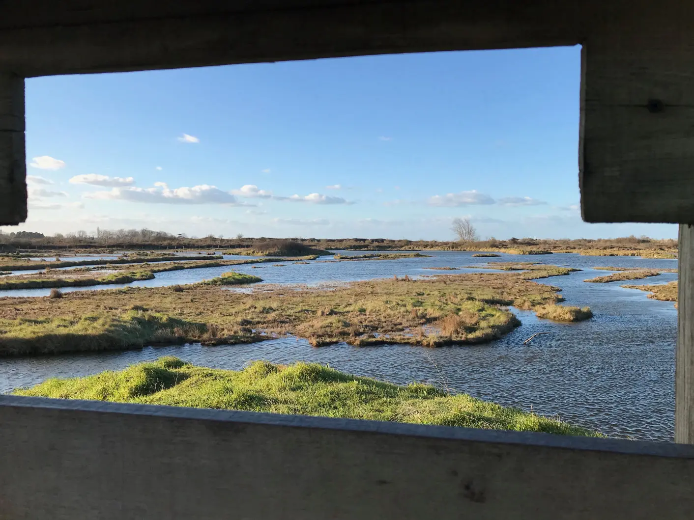 Estuaire de l’Orne - Birdwatch