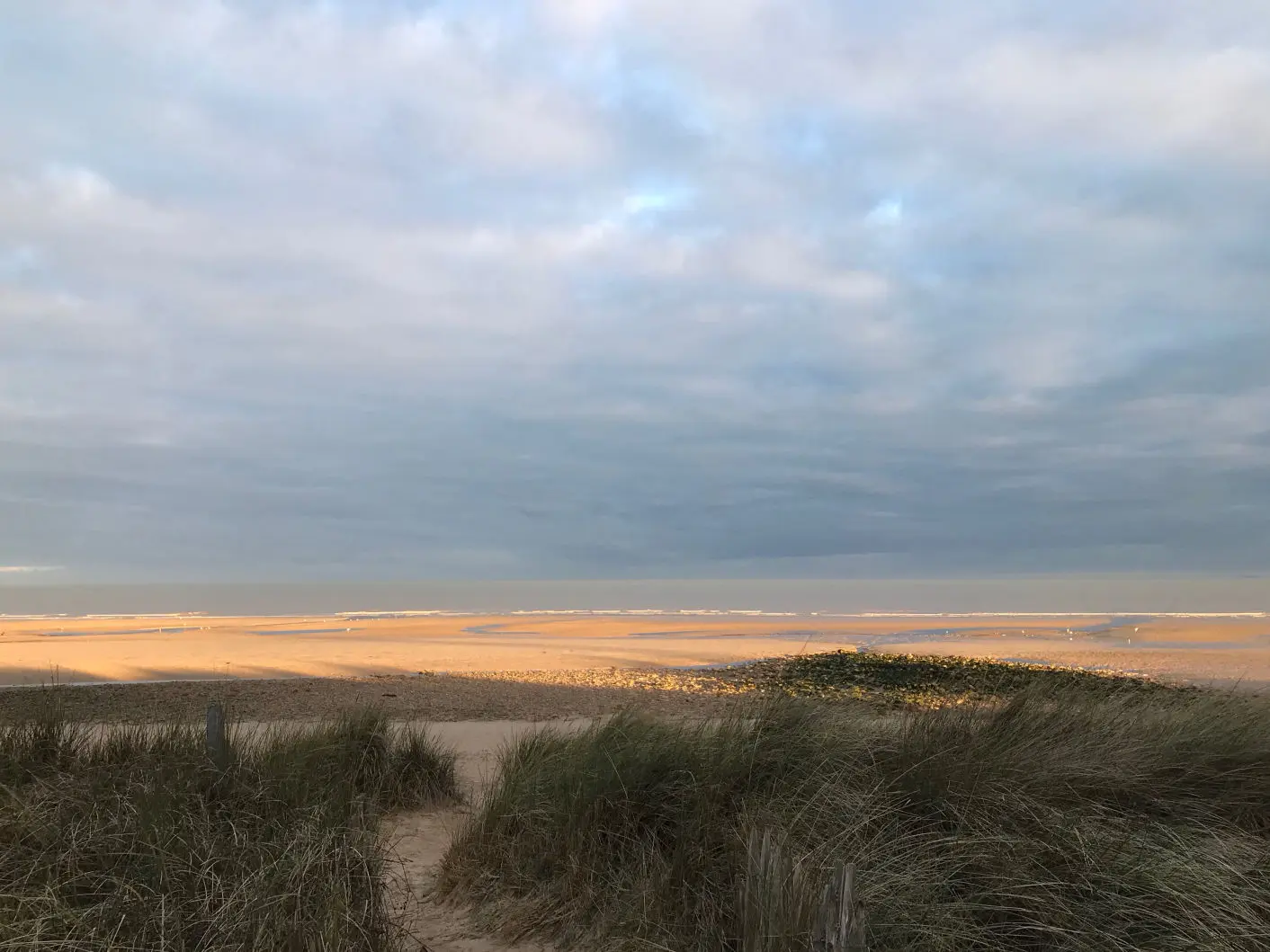 Estuaire de l’Orne - dune Merville